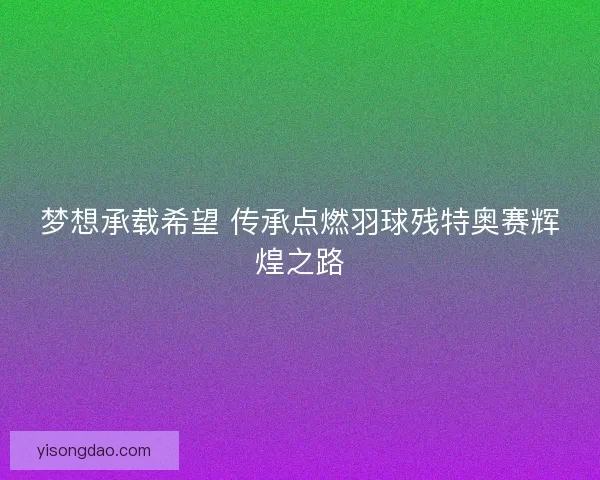 梦想承载希望 传承点燃羽球残特奥赛辉煌之路
